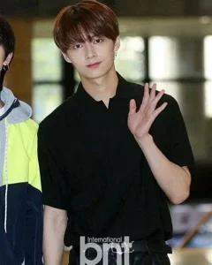 Wen Junhui